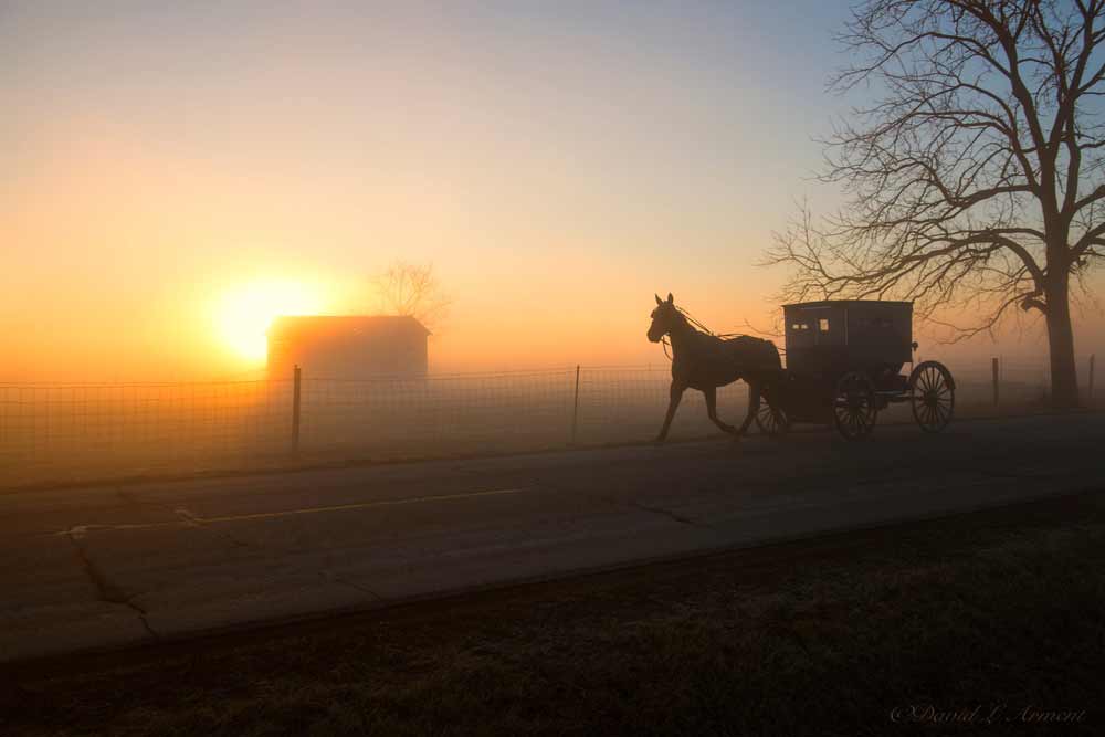 A horse-drawn carriage in silhouette on a hazy field in amish country